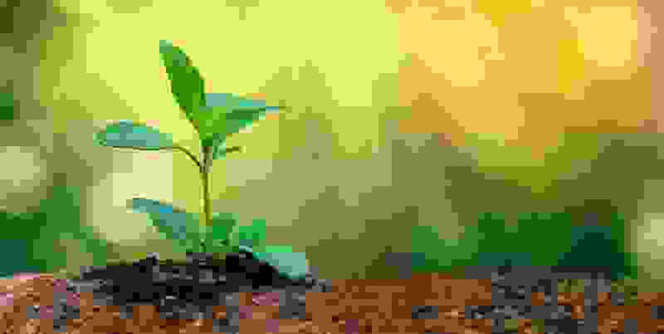 Congo